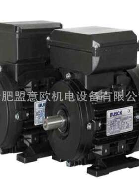 瑞典BUSCK电机