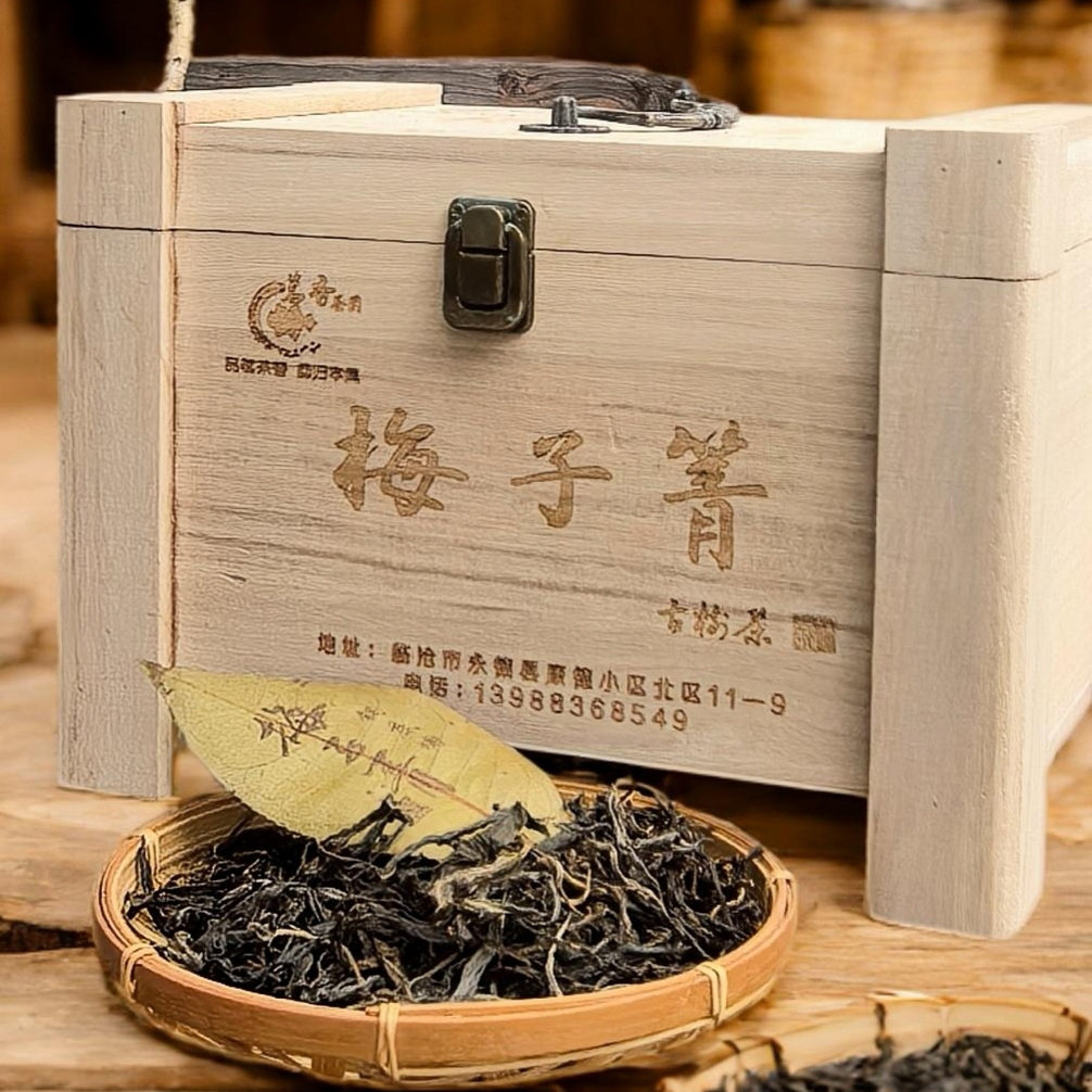 【锅底塘】梅子箐核心区老树挑采 春茶散茶梅香馥郁  500克 礼盒