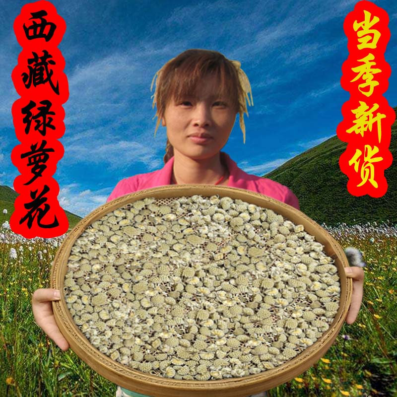苦瓜片野生绿萝花