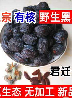 原生态新野生非无核黑枣太行山特产大软枣野柿子君迁子有核黑枣