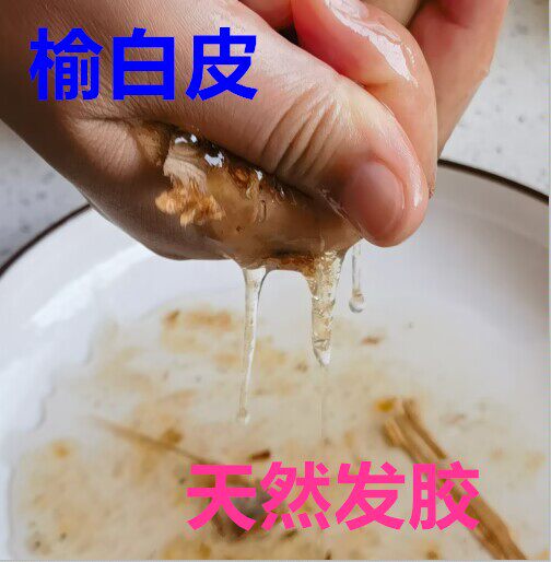 中药材 天然 榆树皮 榆树皮刨花榆白皮 天然洗发水原料出胶500克