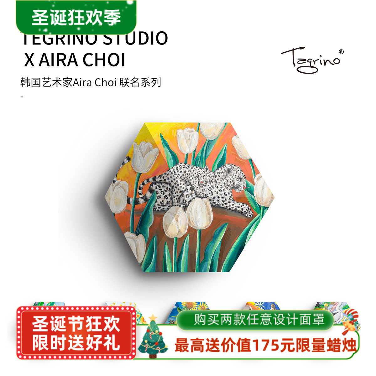 Tegrino德国 Shape音响面罩 音箱透声布aira choi系列 自由搭配