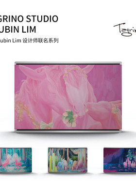 Tegrino可定制 Level音响面罩 透声布 bo专用 韩国艺术家款Subin