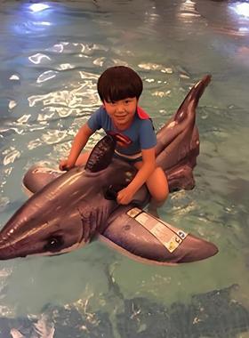 INTEX水上动物充气坐骑儿童成人戏水玩具 大白鲨鱼座骑宝宝游泳圈