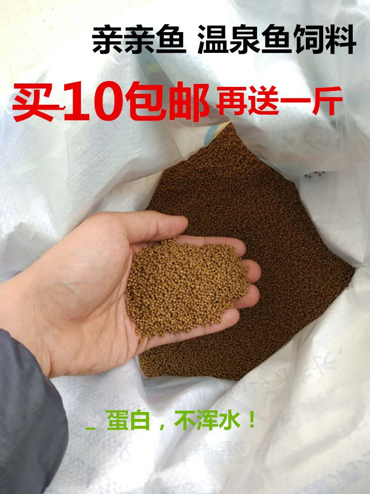 热带亲亲鱼饲料温泉高蛋白
