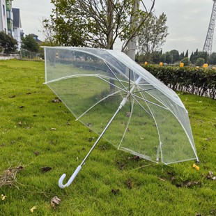 白色纤维骨架透明雨伞加粗加厚大号自动透明男女通用长直柄绘画伞