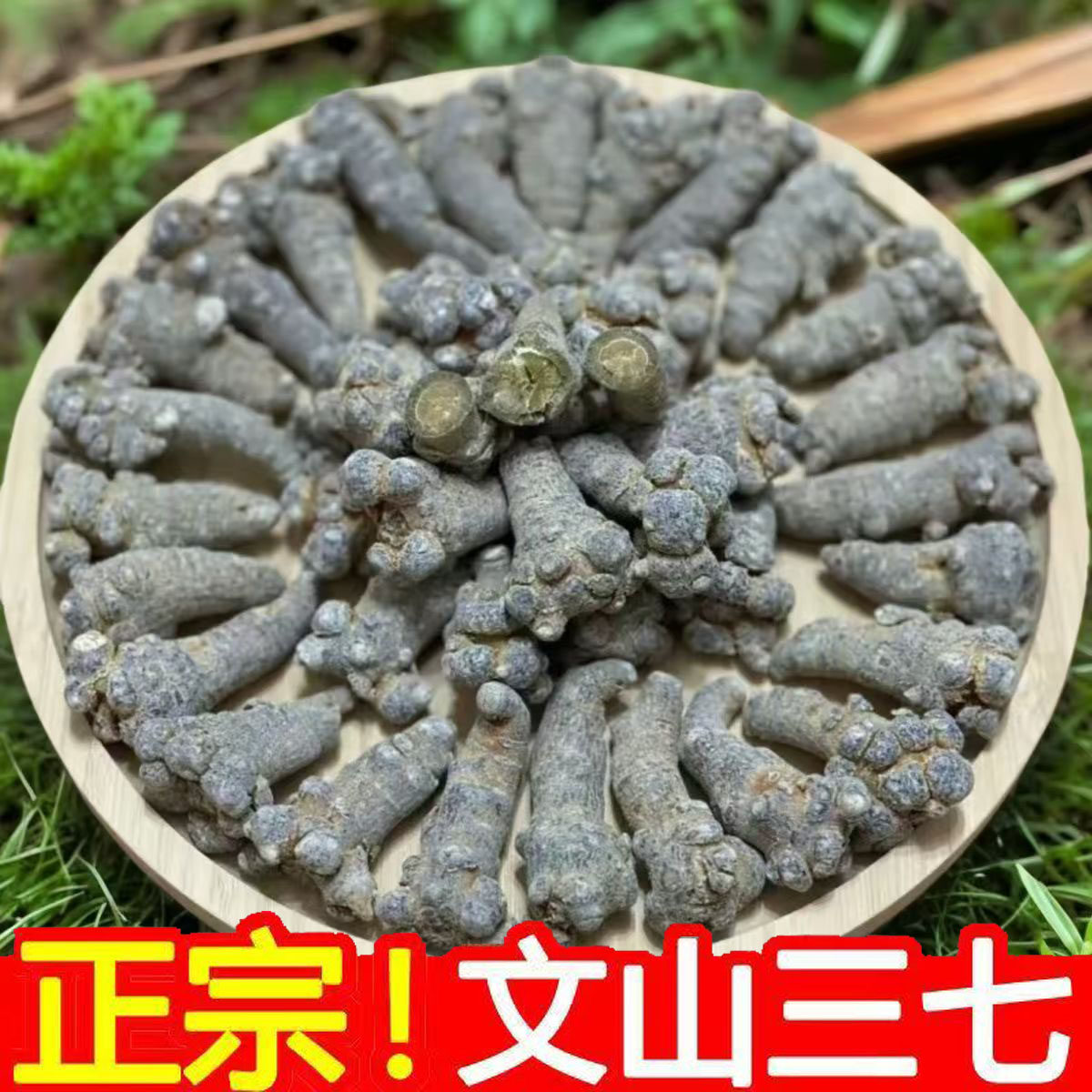 云南文山春三七整个头人参形三七主根滑头足干无剪口30头可代磨粉