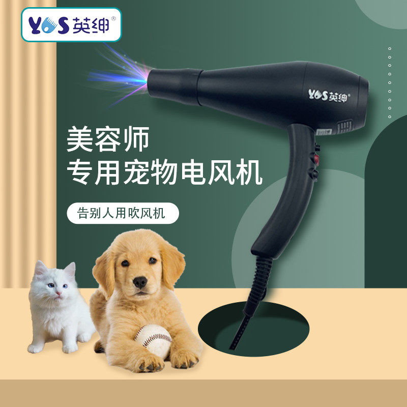 英拉毛宠物吹风机绅一体洗澡吹干挂脖蓝光静音狗狗猫咪专用,宠物/宠物食品及用品,其他美容护理用品,淘宝优惠券,粉丝福利购,淘宝优惠卷