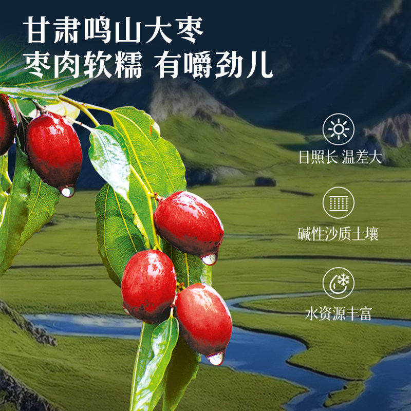 甘肃兰州山里马鸣山大枣特产零食蜜枣红枣干果零食