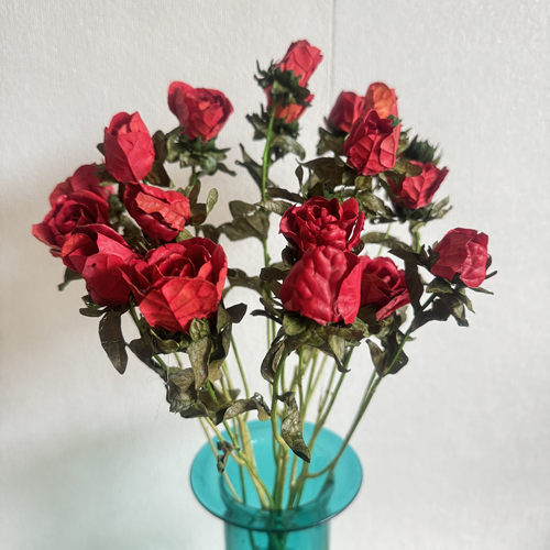 玫瑰干花花束真花风干ins网红