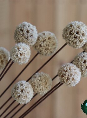 天然植物diy材料干花花束