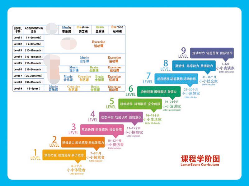 m769早教中心课程学阶图宣传告示栏墙张贴画挂图写真海报印制2311