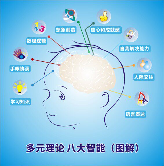 m769儿童大脑发育多元理论八大智能图解宣传墙挂贴图2333海报印制