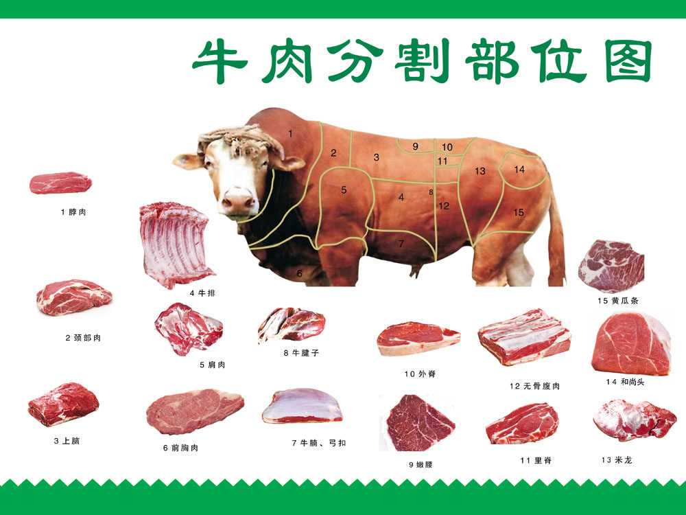 763海报印制展板写真贴纸素材509牛肉分解部位图分割图