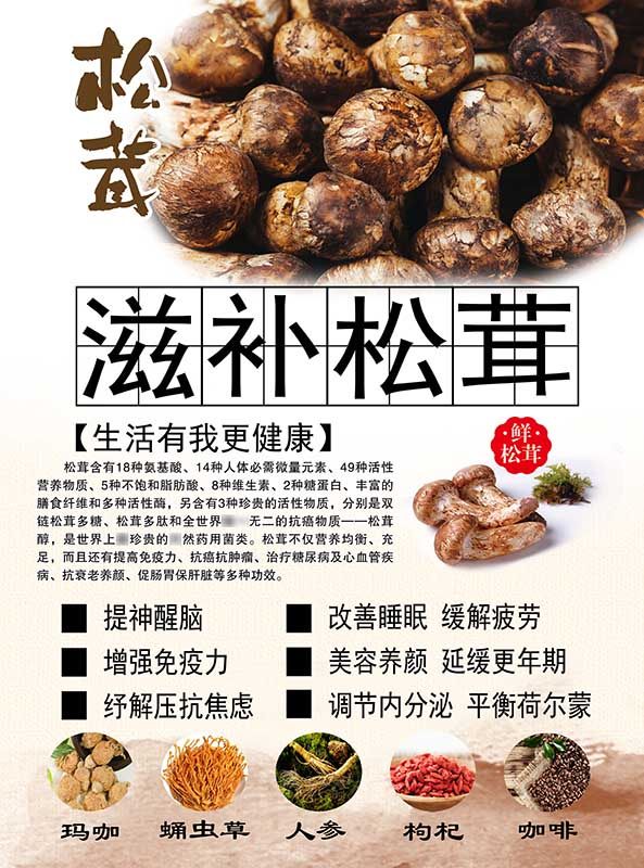 m771松茸功效简介绍广告宣传挂图墙贴纸喷绘写真定做海报印制916