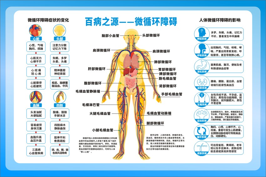 百病之源人体动脉血管微循环海报