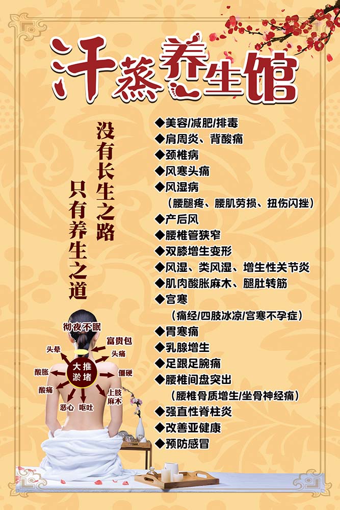 m769汗蒸养生馆项目介绍上墙装饰贴画纸挂图展板喷绘海报印制2018