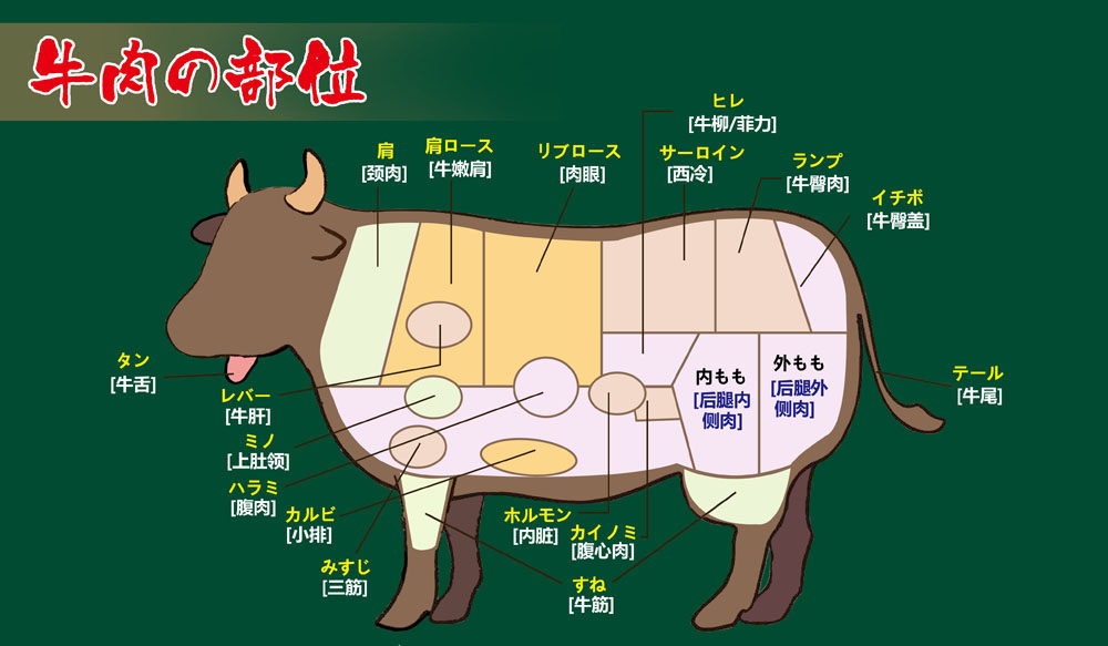 m768牛肉部位分割图日本语字219牛肉店铺超市商场宣传海报印制
