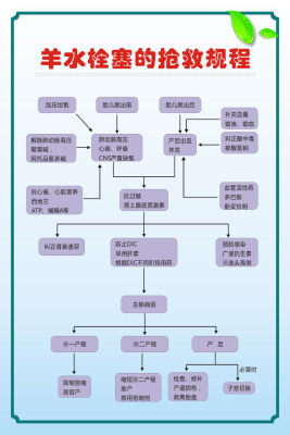 728海报印制展板写真喷绘贴纸269医院(2)3羊水栓塞的抢救规程