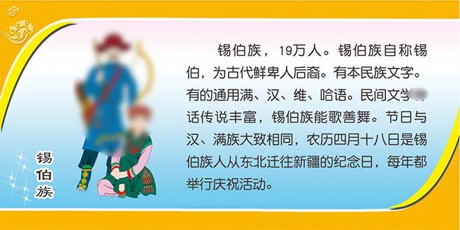 m769锡伯族文化简介绍56个民族宣传挂图1583写真展板喷绘海报印制