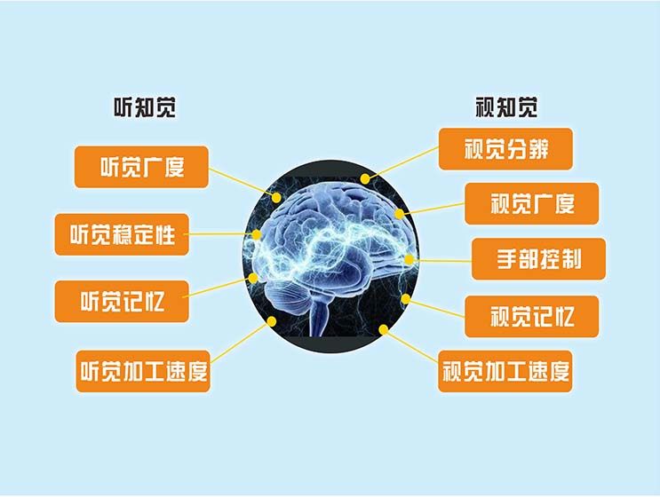 m771视听知觉示意图早教中心装饰上墙贴纸挂图展板喷绘海报印制38