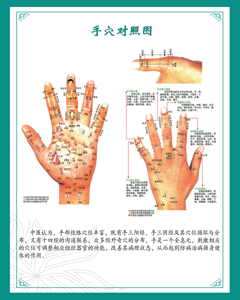 m768手诊穴位对照示意图人体对应部位1441海报印制展板写真喷绘