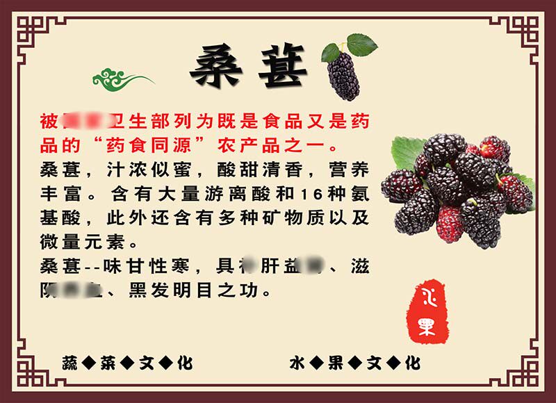 m771水果养生之桑葚功效介绍宣传挂图墙贴写真喷绘纸海报印制248