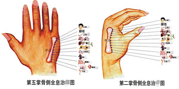 海报印制419设计展板素材77手掌反射区全息图墙上挂贴图喷绘写真