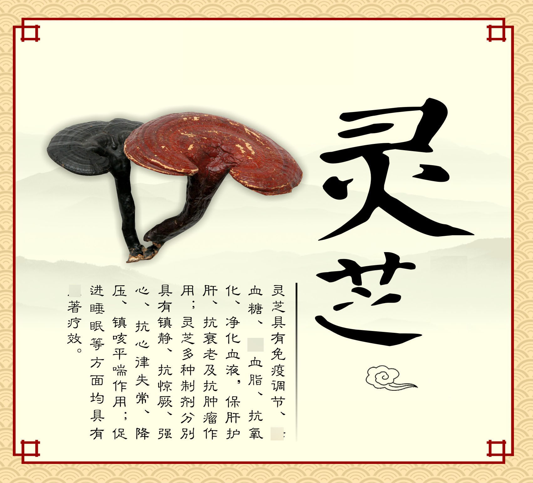 750海报印制展板写真喷绘墙贴纸挂壁画6中医灵芝介绍说明图片贴纸