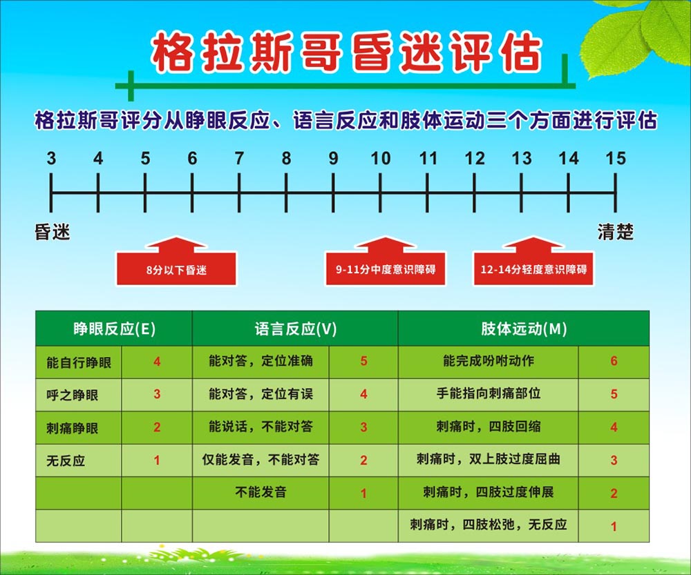 m769格拉斯哥昏迷评估睁眼反应语言反应肢体运动1510海报定制印制
