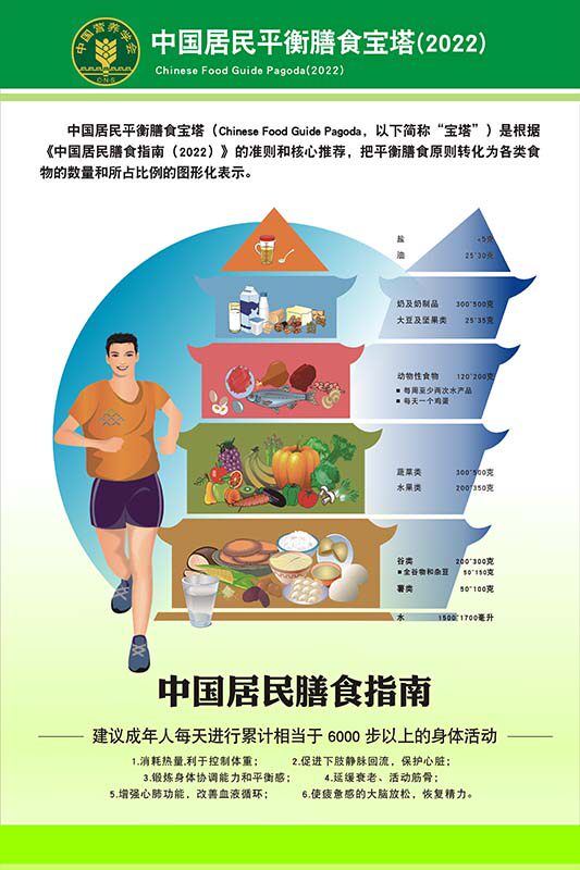 m771新版中国居民平衡膳食宝塔示意图贴画纸喷绘写真海报印制258