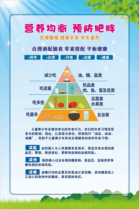 m771学校学生营养均衡合理搭配知常识墙贴纸挂图展板海报印制1262