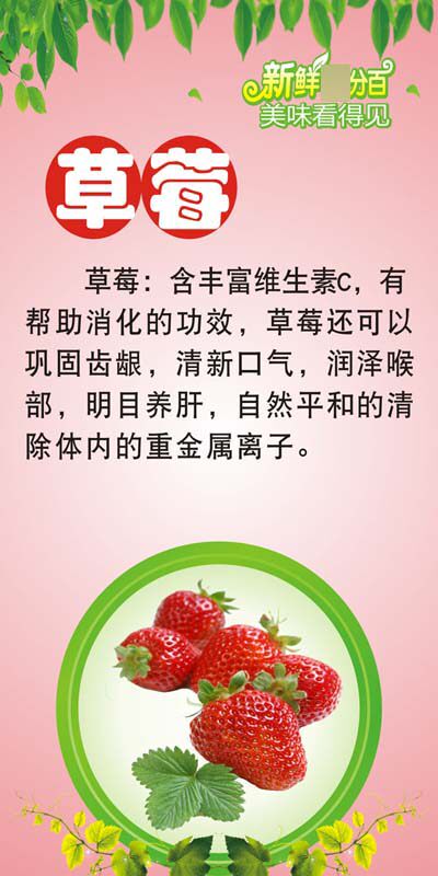 m769草莓营养价值功效简介绍水果店装饰挂图1582喷绘写真海报印制