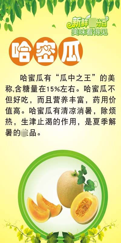 m769哈密瓜营养价值功效简介绍水果店装饰墙贴纸1582喷绘海报印制