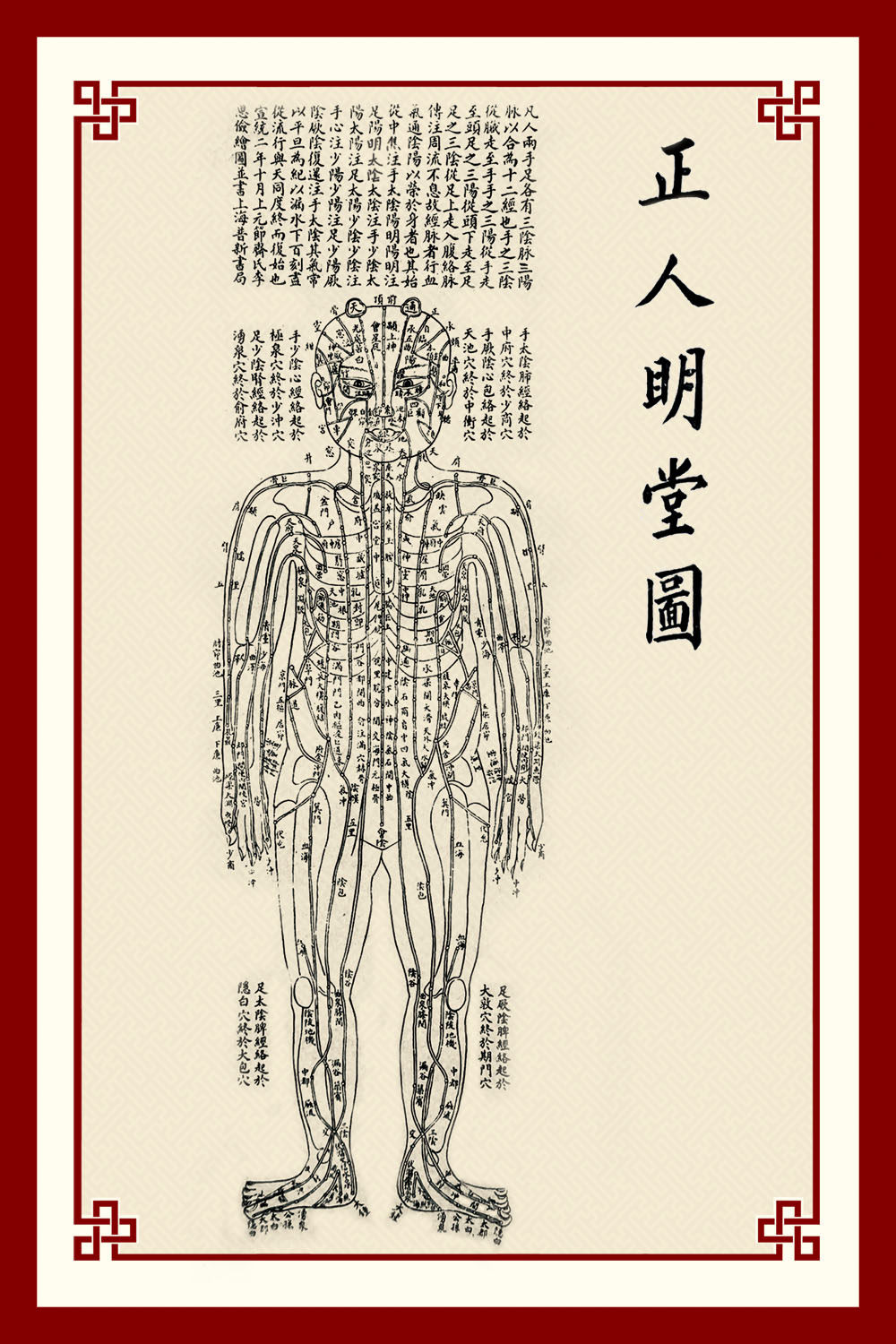 763海报印制展板写真素材223中医养生穴位五行正人明堂图