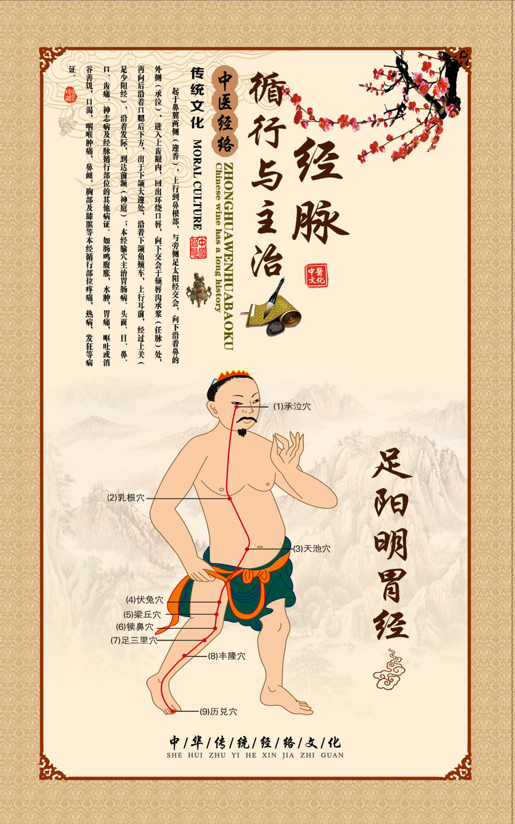 763海报印制展板写真素材168中医养生十二经络图足阳明胃经