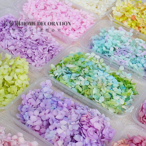 小叶安娜永生绣球花DIY材料手工微景观素材相框香薰瓶点缀小干花