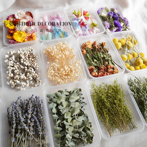 满天星迷你小干花玫瑰花头盒装