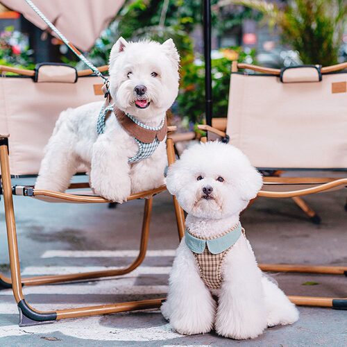 Plaid Dog Harness Vest Puppy Leash Set Outdoor Walk