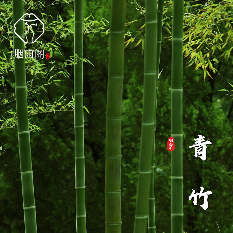 胭雨阁原创青竹古风香水礼盒男女持久清新自然学生少女中性竹子香