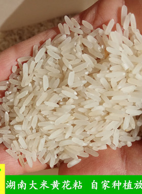 长沙农家【5斤】湖南晚稻米本地黄花粘长粒大米新米不抛光香软