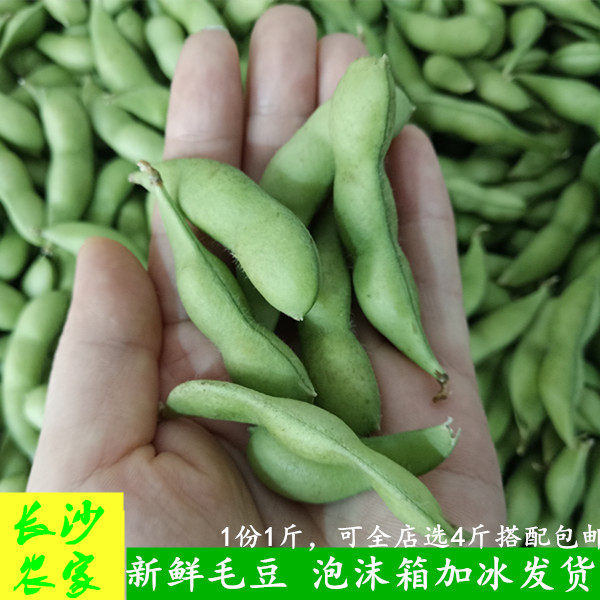 长沙农家 湖南自种蔬菜新鲜毛豆现摘带壳毛豆角连荚黄豆500g