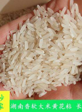 长沙农家  【10斤现发】湖南晚稻米本地长粒米新米黄花粘不抛光