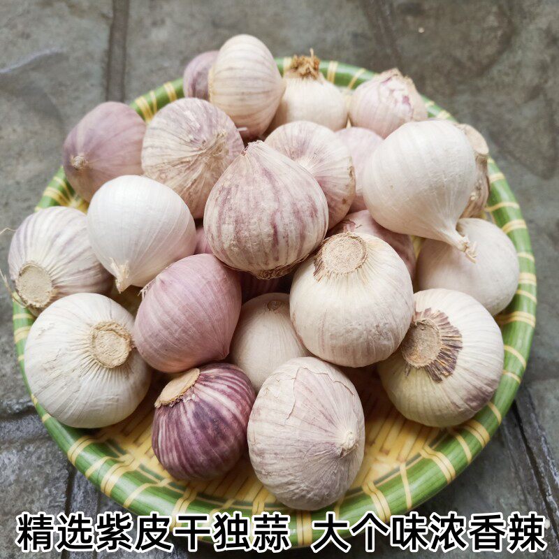 长沙农家 【2斤】湖南湘菜食材紫皮大蒜子大个独蒜干蒜调味蒜头