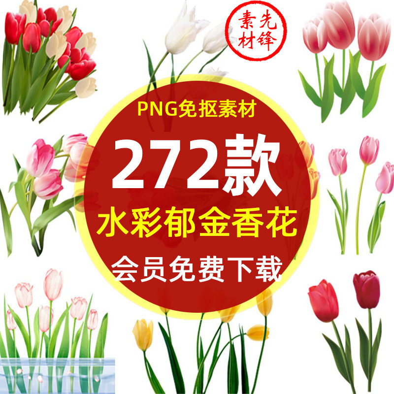 卡通手绘郁金香花朵花卉背景png免抠图片 荷兰郁金香插画ps素材