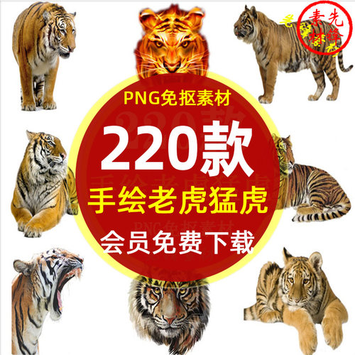 卡通手绘老虎猛虎海报插画PNG免抠图片 水彩老虎虎头动画PS素材