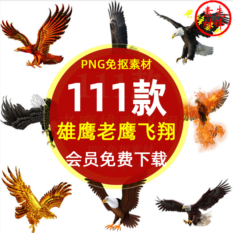 卡通老鹰猎鹰雄鹰展翅飞翔插图png图片 手绘老鹰纹身图案ps素材