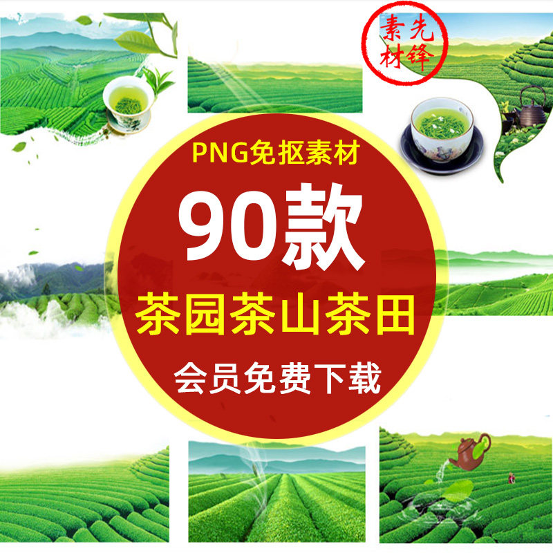 绿色茶园茶田茶叶茶山插画png图片 春茶采茶叶包装背景ps海报素材