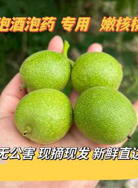 2026年新货甘肃陇南成县绿皮嫩核桃药用切片煮水泡酒绿皮核桃果湿