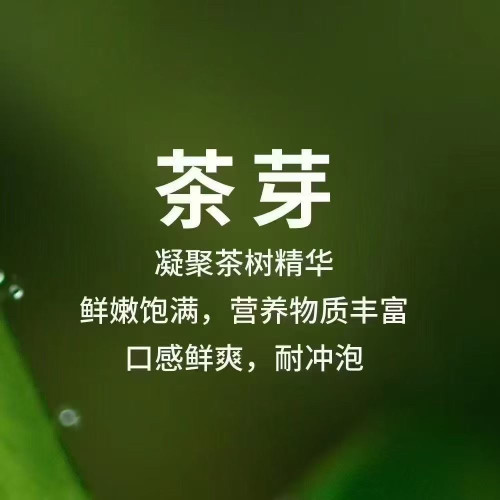 2026年新茶试喝 私人订制 补邮费 专拍